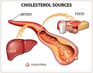 kien thuc ve cholesterol