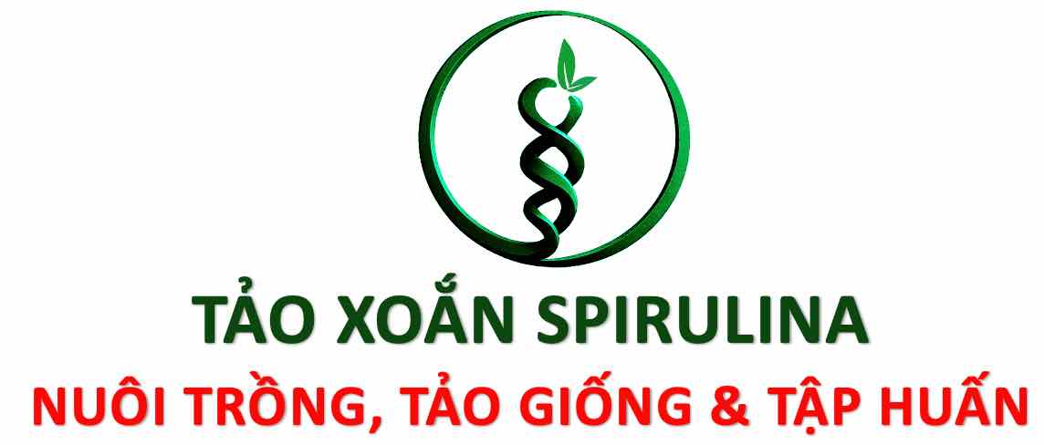 TẢO XOẮN SPIRULINA